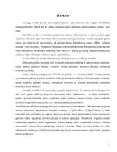 Antiinfliacija 11 puslapis