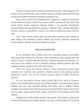Antiinfliacija 8 puslapis