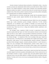 Antikinis kinizmas ir šiuolaikinis cinizmas 11 puslapis
