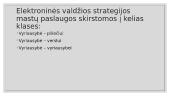 Kas yra ﻿elektroninė valdžia? 4 puslapis