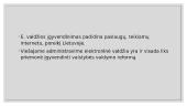 Kas yra ﻿elektroninė valdžia? 7 puslapis