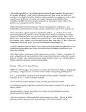 Antrinių žaliavų perdirbimas 12 puslapis