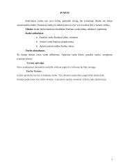 Pauliaus vardo kilmės ir vartosenos tyrimas 3 puslapis