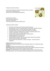 Didieji geografiniai atradimai: teorija 2 puslapis