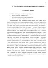 Aplinkos apsaugos organizavimas Kauno mieste 4 puslapis