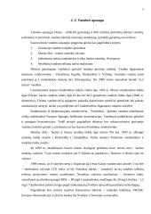 Aplinkos apsaugos organizavimas Kauno mieste 5 puslapis