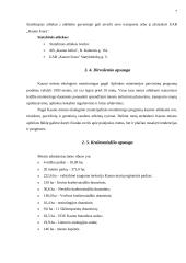 Aplinkos apsaugos organizavimas Kauno mieste 7 puslapis