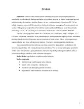 Aplinkos užterštumas Lietuvoje 2 puslapis