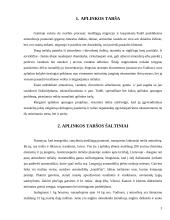 Aplinkos užterštumas Lietuvoje 3 puslapis