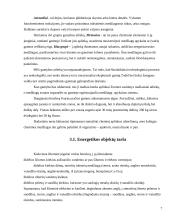 Aplinkos užterštumas Lietuvoje 7 puslapis