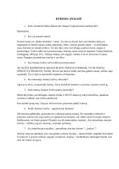 Antano Škėmos "Balta drobulė" – nihilistinio rašymo projektas 4 puslapis