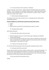 Antano Škėmos "Balta drobulė" – nihilistinio rašymo projektas 5 puslapis