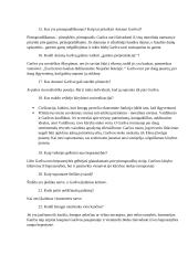 Antano Škėmos "Balta drobulė" – nihilistinio rašymo projektas 6 puslapis