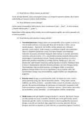 Antano Škėmos "Balta drobulė" – nihilistinio rašymo projektas 7 puslapis