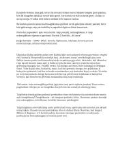 Žmogiškumo pamokos lietuvių literatūroje 2 puslapis