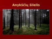 Antano Baranausko gyvenimo ir kūrybos kelio apžvalga  18 puslapis