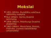 Antano Baranausko gyvenimo ir kūrybos kelio apžvalga  8 puslapis