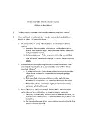 Istorijos atspindžiai lietuvių rašytojų kūryboje (Biliūnas, Krėvė, Škėma) 4 puslapis