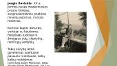 Jurgis Savickis ir pagrindinės jo novelės 2 puslapis