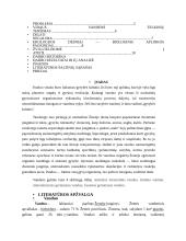 Vanduo kaip gyvybės šaltinis 2 puslapis