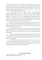 Apsauga nuo mechaninio, padegamojo ginklo ir elektromagnetinio poveikio 3 puslapis