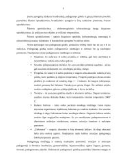 Apsauga nuo mechaninio, padegamojo ginklo ir elektromagnetinio poveikio 4 puslapis