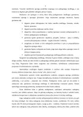 Apsauga nuo mechaninio, padegamojo ginklo ir elektromagnetinio poveikio 6 puslapis