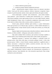 Apsauga nuo mechaninio, padegamojo ginklo ir elektromagnetinio poveikio 8 puslapis