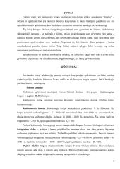 Apšvietimas. Spinduliavimas 2 puslapis