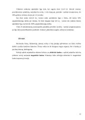 Apšvietimas. Spinduliavimas 13 puslapis