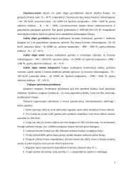 Apšvietimas. Spinduliavimas 3 puslapis