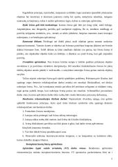 Apšvietimas. Spinduliavimas 5 puslapis