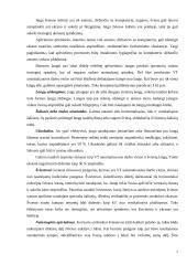 Apšvietimas. Spinduliavimas 7 puslapis