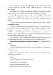 Apšvietimas. Spinduliavimas 9 puslapis