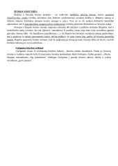 Dėdes ir dėdienes - išsamus nagrinėjimas 10 puslapis