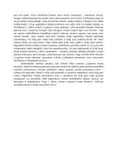 Asmens pasirinkimo laisvė ir elgesio motyvai kūrinyje "Lygiosios trunka akimirką" 2 puslapis