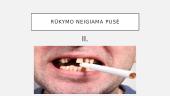 Rūkymas žudo: kodėl verta mesti rūkyti? 5 puslapis