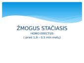 Žmogus ir žmogaus evoliucija 11 puslapis