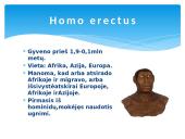 Žmogus ir žmogaus evoliucija 12 puslapis