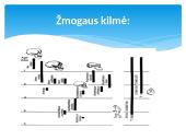 Žmogus ir žmogaus evoliucija 3 puslapis