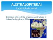 Žmogus ir žmogaus evoliucija 4 puslapis