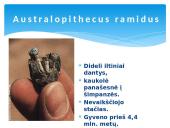Žmogus ir žmogaus evoliucija 5 puslapis