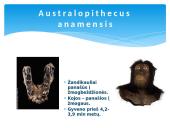 Žmogus ir žmogaus evoliucija 6 puslapis