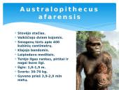 Žmogus ir žmogaus evoliucija 7 puslapis