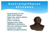 Žmogus ir žmogaus evoliucija 8 puslapis
