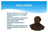 Žmogus ir žmogaus evoliucija 10 puslapis