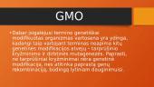 Genetiškai modifikuotas organizmas 4 puslapis