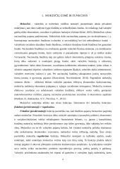 Graikijos mokesčių sistemos vertinimas 4 puslapis