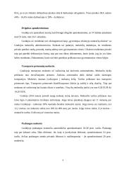 Graikijos mokesčių sistemos vertinimas 9 puslapis