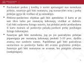 Pirkimo pardavimo sutartys 11 puslapis